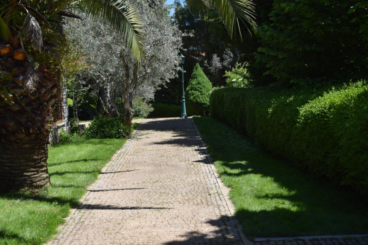 Quinta Da Boa Ventura Hotell Bragança Eksteriør bilde